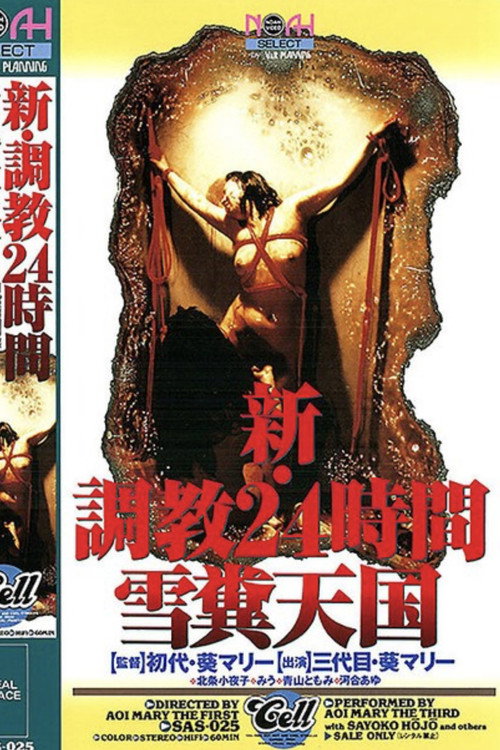 Movie poster for 新・調教24時間 雪糞天国 (1996)