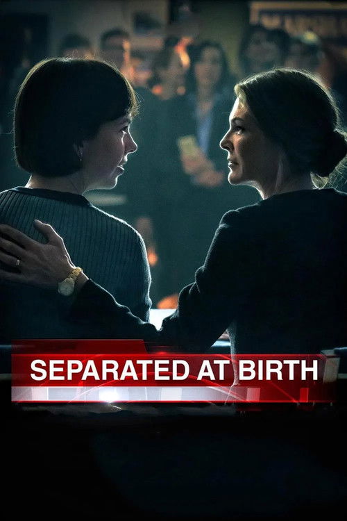 Movie poster for Separated at Birth (2018)