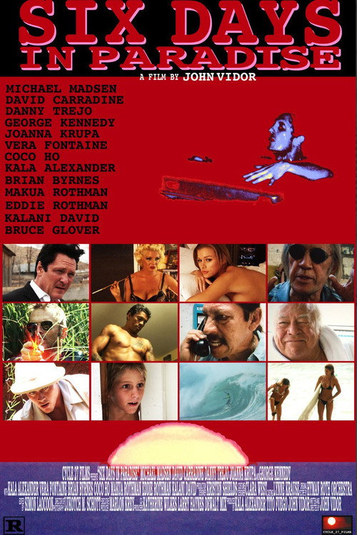 Movie poster for Six Days in Paradise (2010)