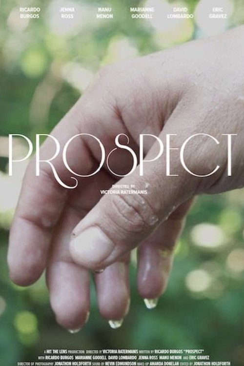 Movie poster for Prospect (2016)