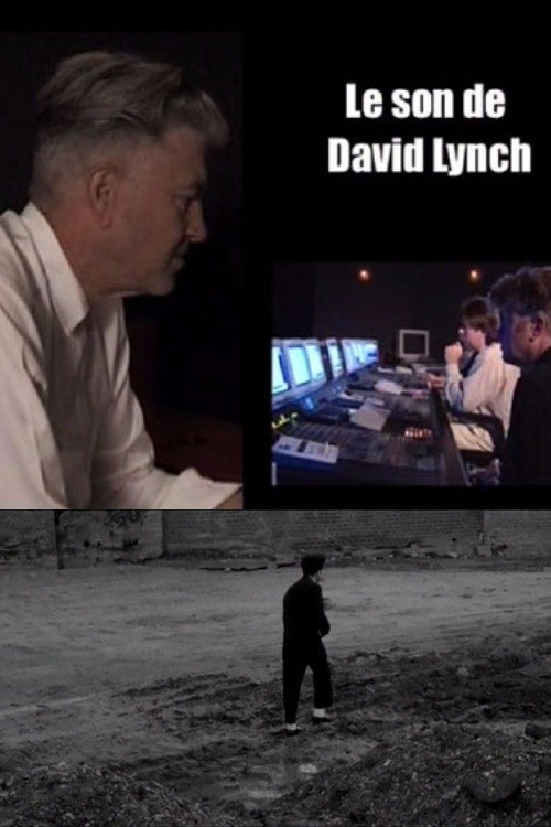 Movie poster for The Sound of Lynch (2007)