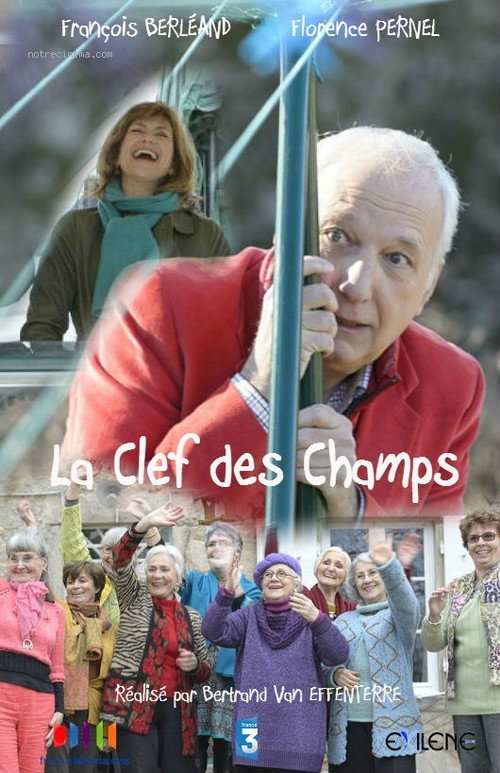 Movie poster for La clef des champs (2014)