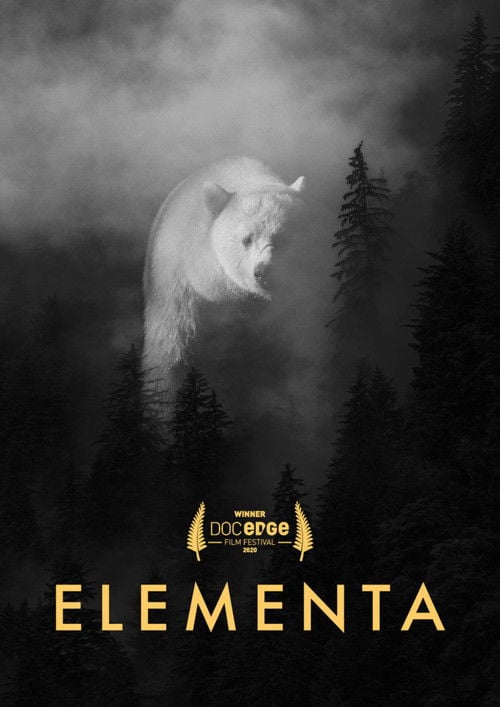 Movie poster for Elementa (2020)