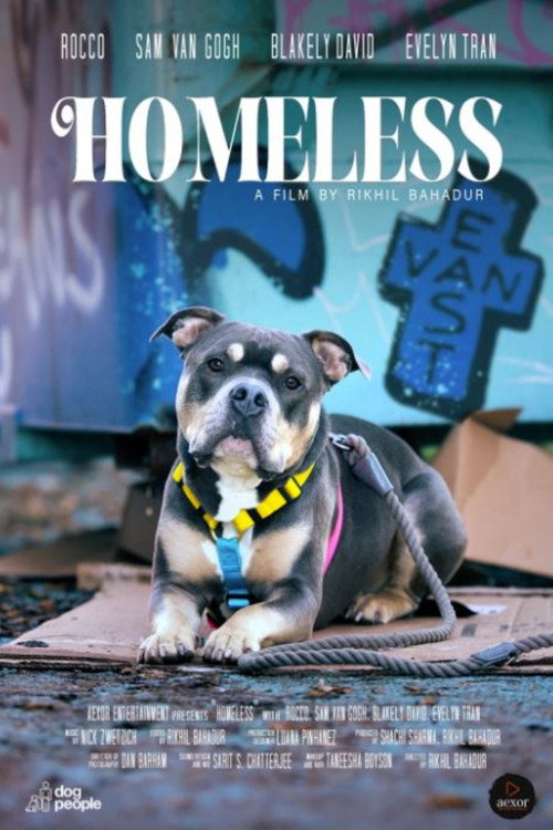 Movie poster for Homeless (2024)