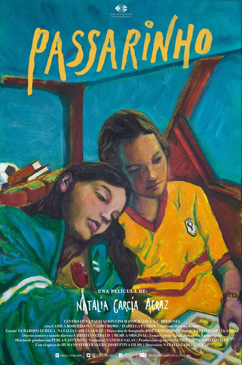Movie poster for Passarinho (2024)