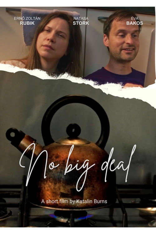 Movie poster for No big deal