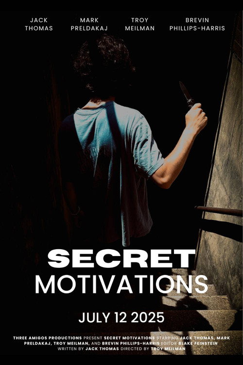 Movie poster for Secret Motivations (2025)