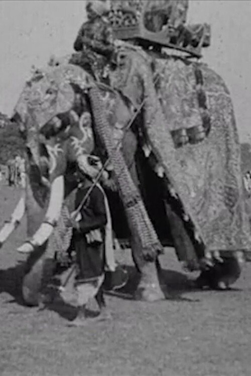 Movie poster for Calcutta Pageant (1912)