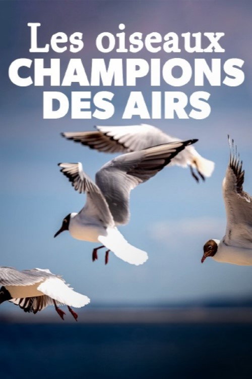 Series poster for Birds (2023)