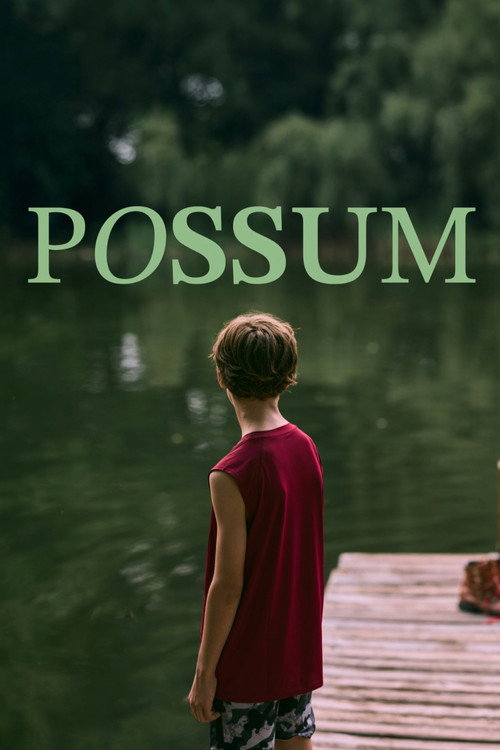 Movie poster for Possum
