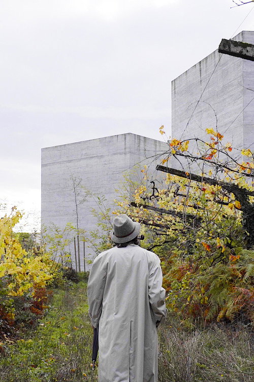Movie poster for M. Hulot's Visit (2018)