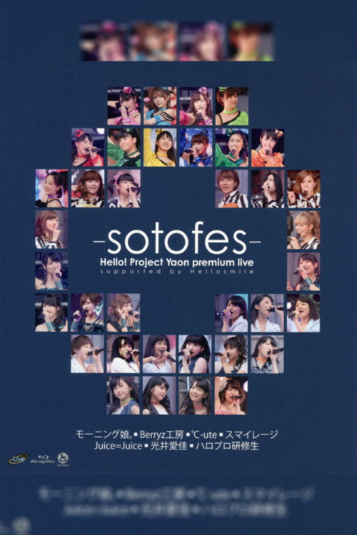 Movie poster for Hello! Project 2013 Spring Yaon Premium LIVE ~Soto Fes~ (2013)