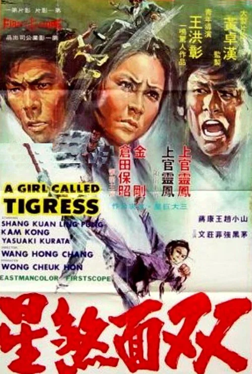 Movie poster for A Girl Called Tigress (1973)