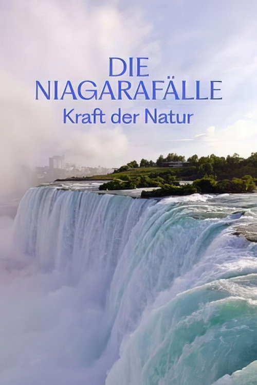 Movie poster for Niagara Falls (2025)