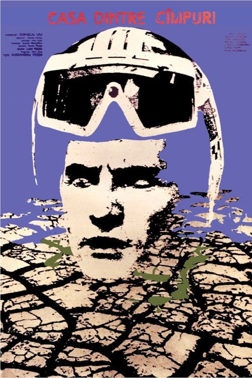 Movie poster for The House Between the Fields (1980)