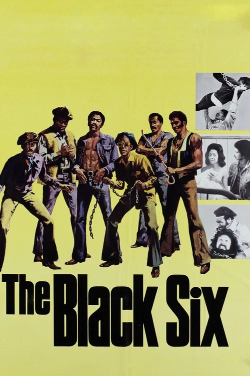 Movie poster for The Black Six (1973)