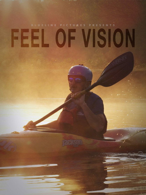 Movie poster for Feel of Vision (2018)