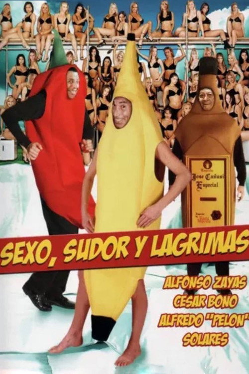 Movie poster for Sexo, sudor y lágrimas (1987)