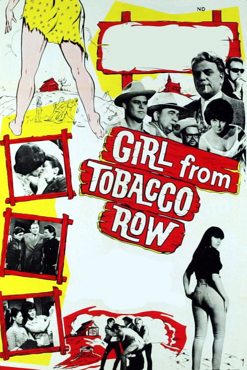 Movie poster for Girl from Tobacco Row (1966)