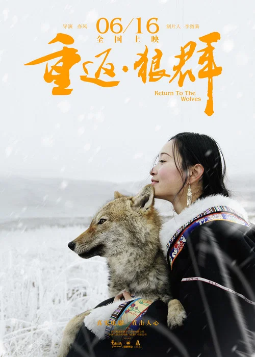 Movie poster for Return to the Wolves (2017)