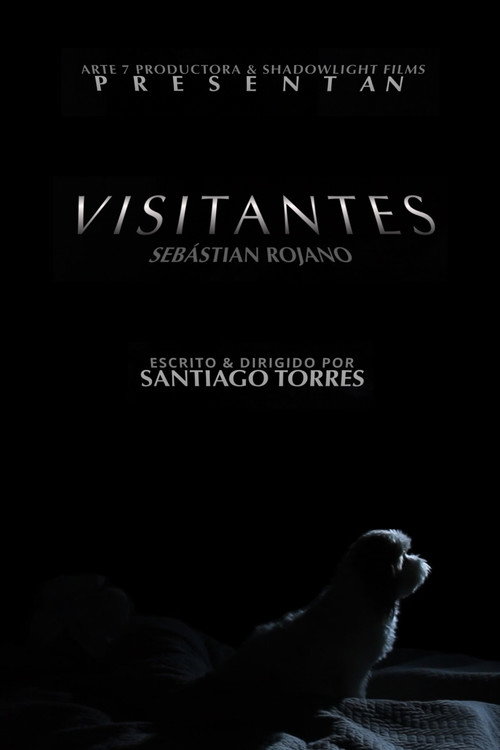 Movie poster for Visitors (2023)