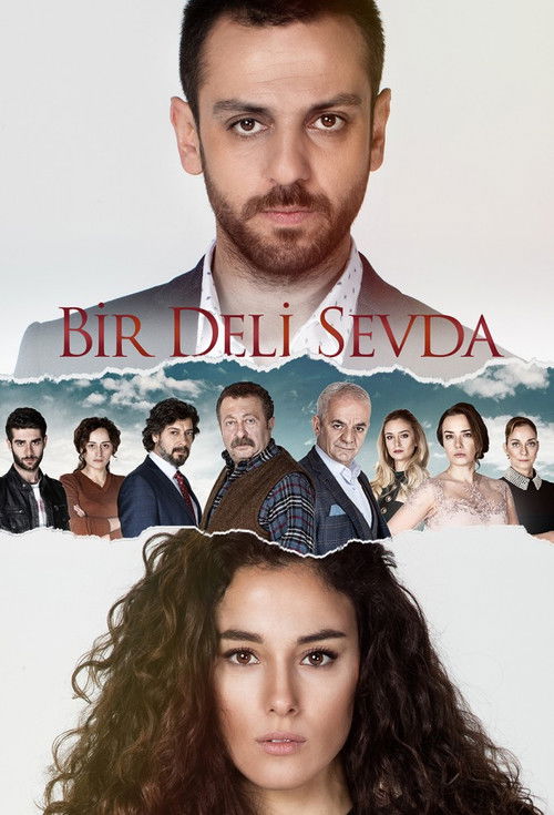 Bir Deli Sevda poster