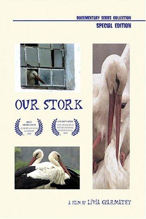 Movie poster for Our Stork (2000)