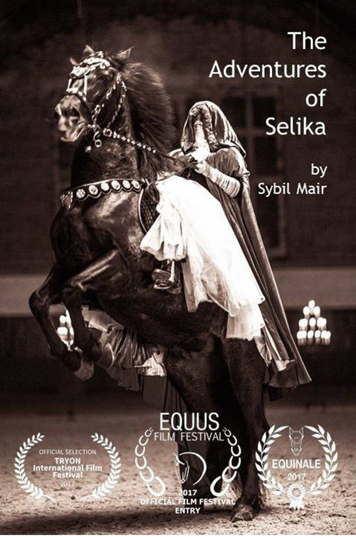 Movie poster for The Adventures of Selika (2017)