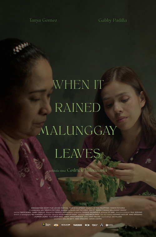 Movie poster for When It Rained Malunggay Leaves (2025)