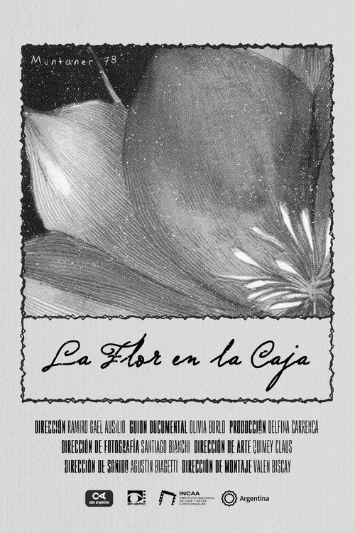 Movie poster for The Flower in the Box (2025)