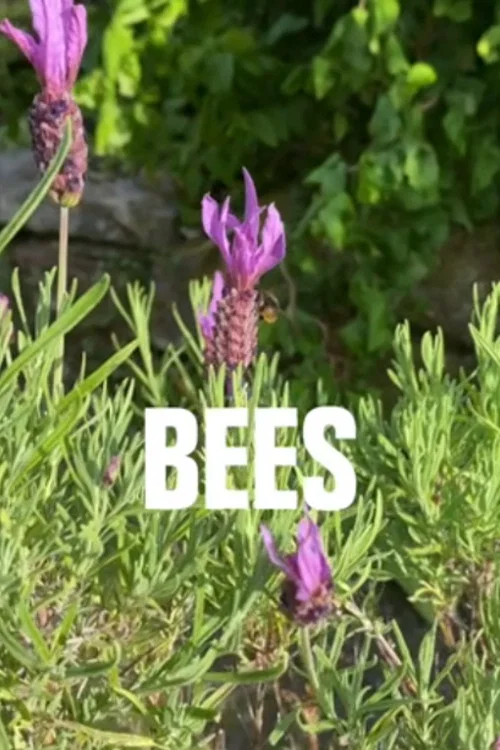 Movie poster for Bees (2020)