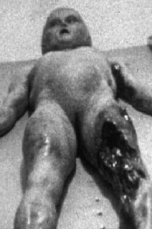 Movie poster for The Alien Autopsy (1995)