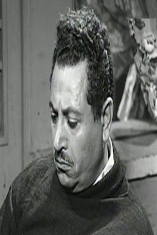 Photo of Ali ElMoaawen, Acting