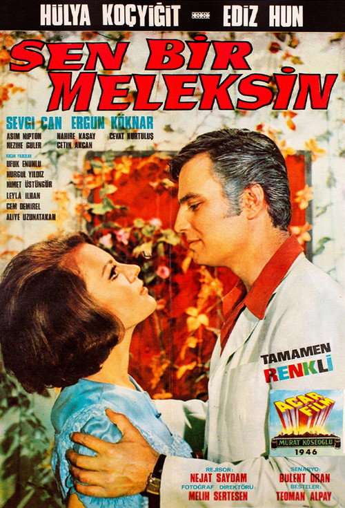 Movie poster for Sen Bir Meleksin (1969)