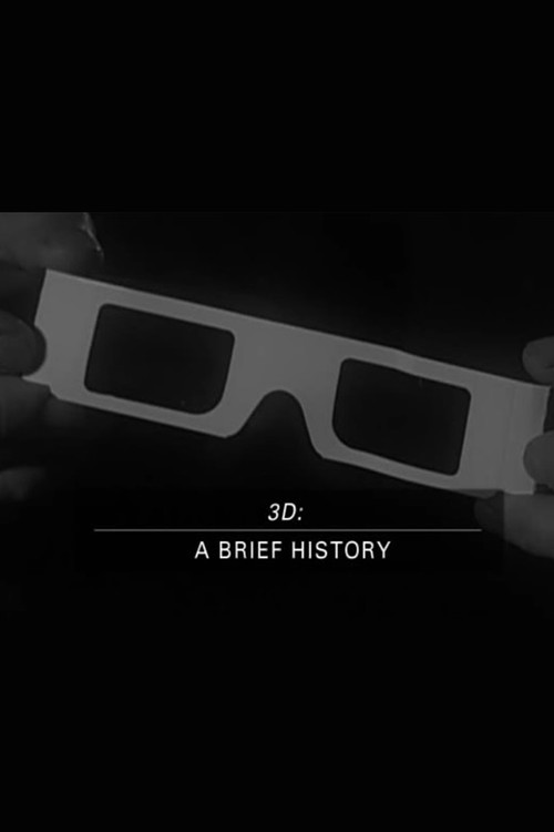 Movie poster for 3D: A Brief History (2004)