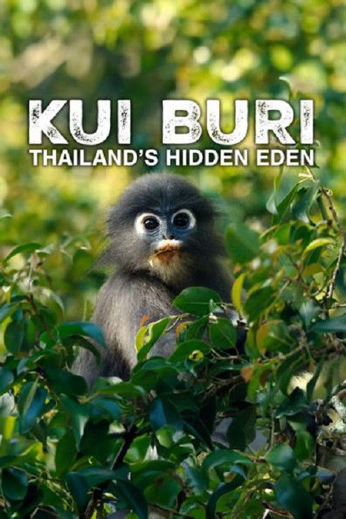 Movie poster for Kui Buri: Thailand's Hidden Eden (2025)