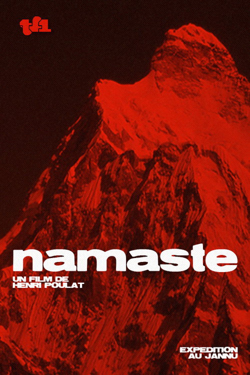 Movie poster for Namaste (1984)