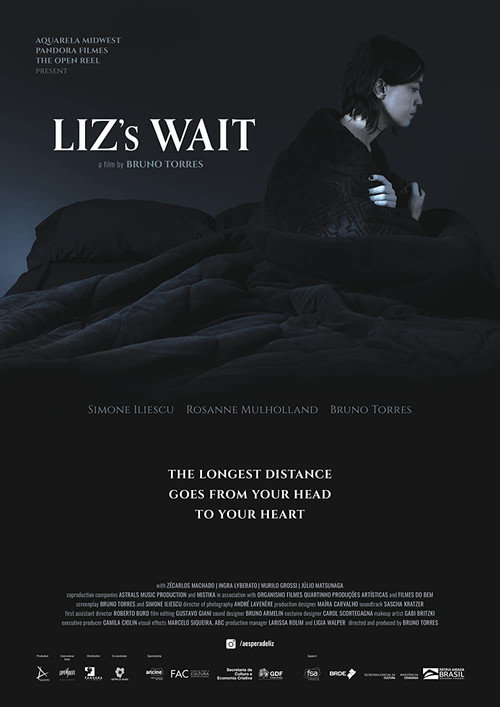 Movie poster for Liz's Wait (2022)