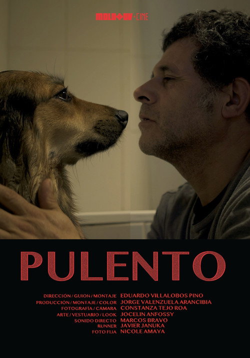 Movie poster for Pulento (2021)