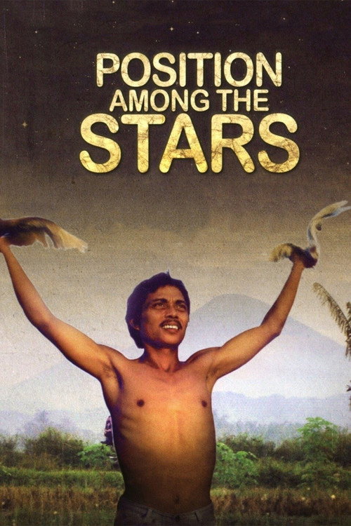 Movie poster for Position Among the Stars (2011)