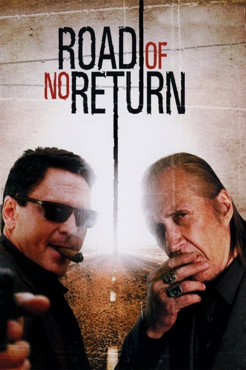 Movie poster for Road of No Return (2009)