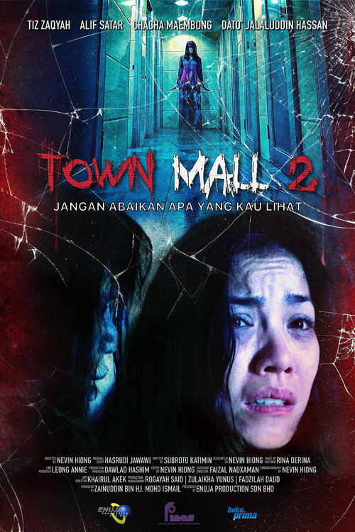 Movie poster for Town Mall 2 (2024)