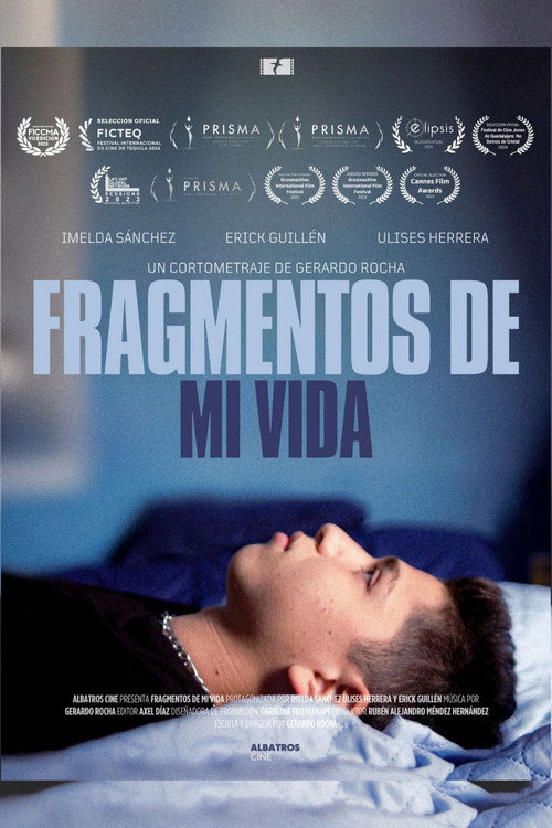 Movie poster for Pieces of my life (2023)