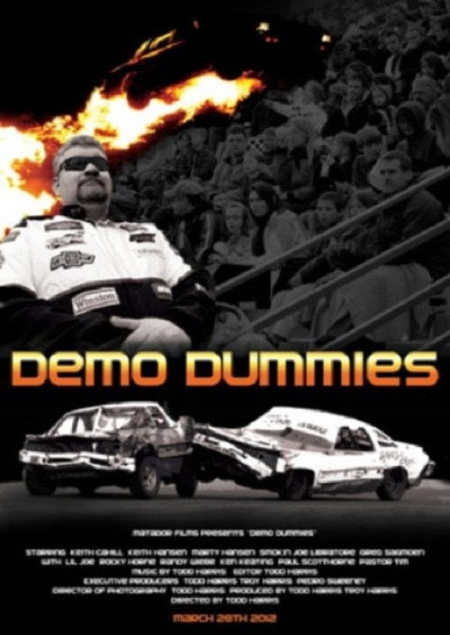 Movie poster for Demo Dummies (2012)
