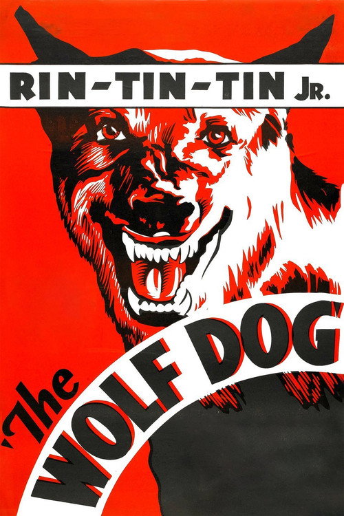 Movie poster for The Wolf Dog (1933)