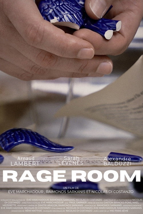 Movie poster for RAGE ROOM