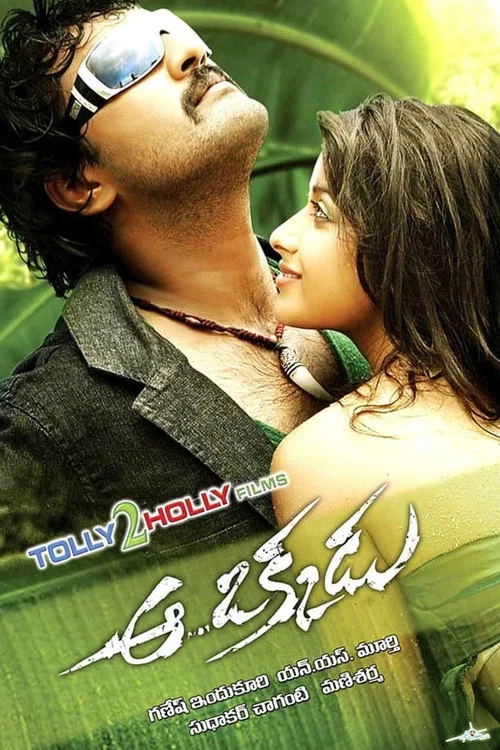 Movie poster for Aa Okkadu (2009)