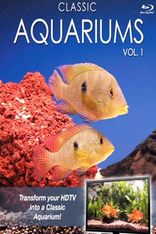 Movie poster for Plasma Art Classic Aquariums (2011)