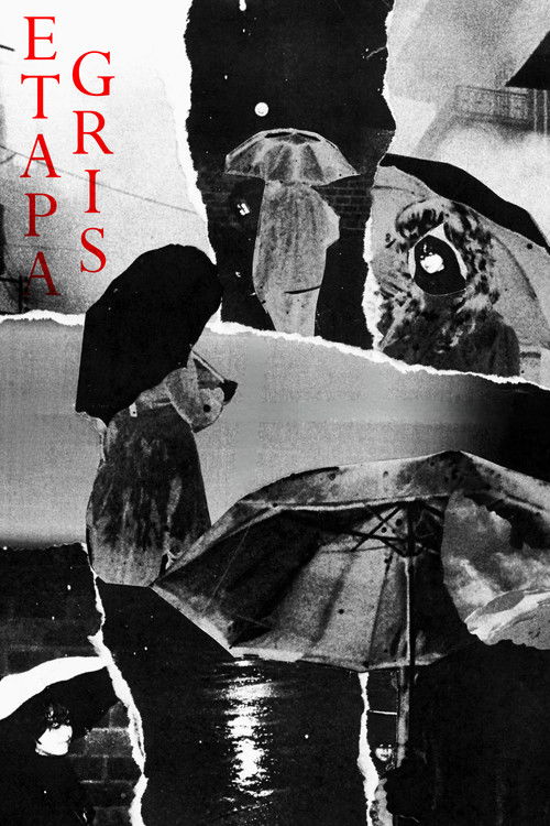 Movie poster for Gray Stage (2026)