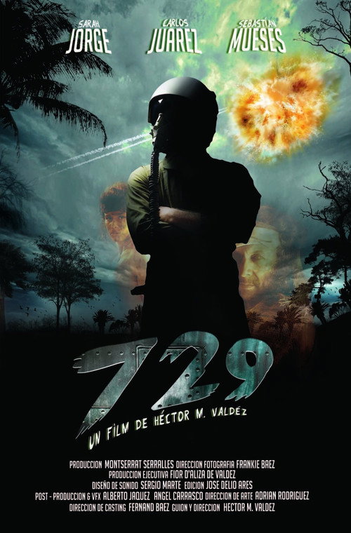 Movie poster for #729 (2011)